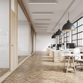 Front View of an Office Interior